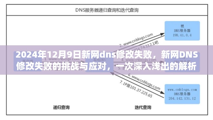 新网DNS修改失败解析，挑战与应对策略（2024年12月9日深度解析）