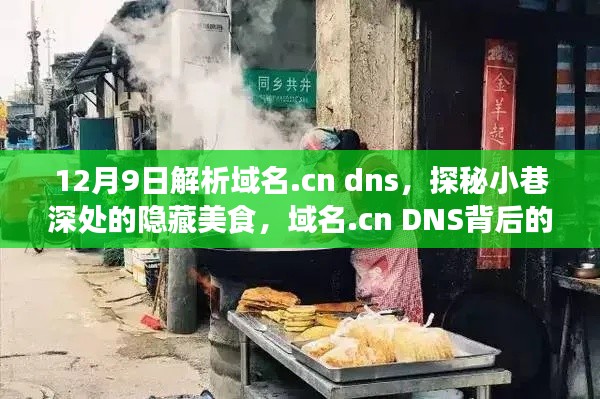 域名.cn DNS背后的美食秘境，探秘小巷深处的隐藏美食