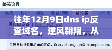 逆风翱翔，从DNS IP反查域名到自信成就梦想的历程