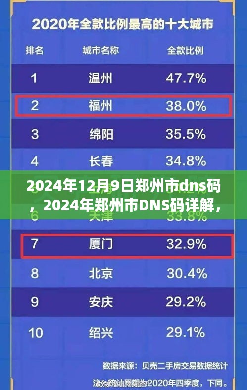 2024年郑州市DNS码详解，前沿技术与实际应用案例探索