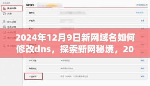 探索新网秘境，启程改变DNS，开启内心宁静之旅的指南（2024年12月9日）