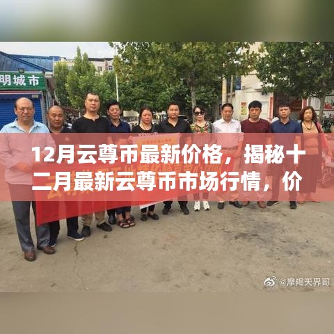 揭秘十二月云尊币市场行情，最新价格、走势分析与预测