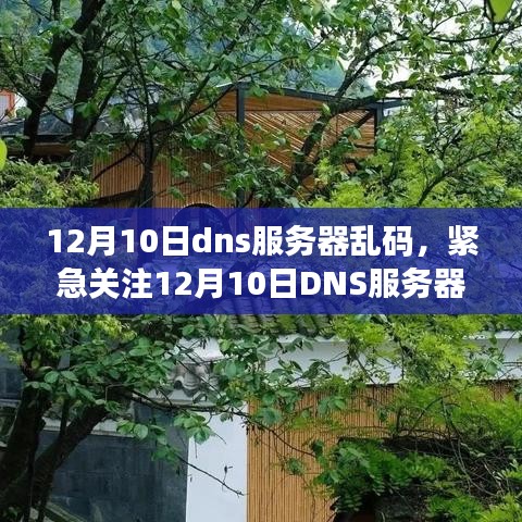 紧急关注！12月10日DNS服务器乱码事件解析与小红书社区热议解决方案