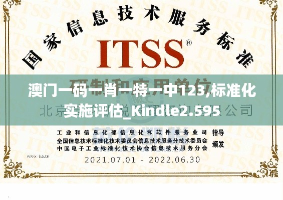 澳门一码一肖一特一中123,标准化实施评估_Kindle2.595