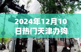 天津狗证办理探秘，小巷深处的特色小店与非凡魅力之旅（独家揭秘）