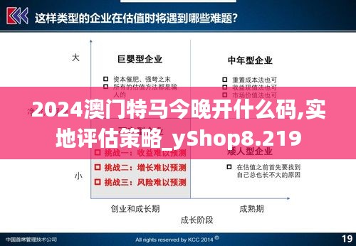 2024澳门特马今晚开什么码,实地评估策略_yShop8.219