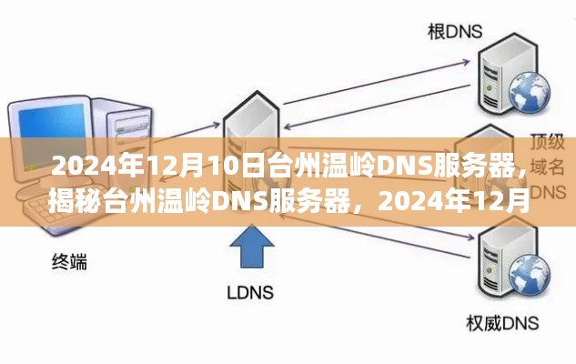 揭秘台州温岭DNS服务器，科技观察下的深度解读（2024年12月10日）