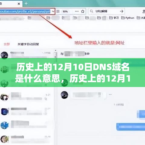 历史上的12月10日DNS域名含义深度探讨与解析