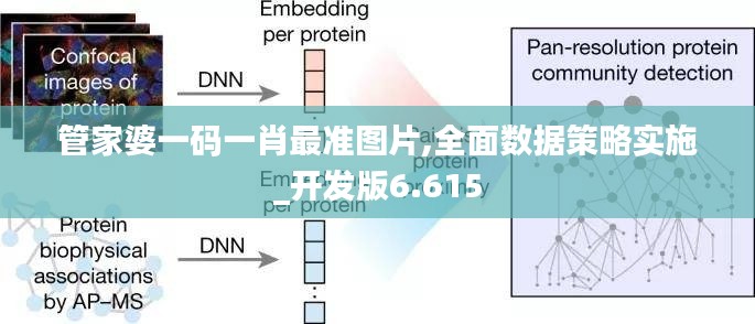 管家婆一码一肖最准图片,全面数据策略实施_开发版6.615