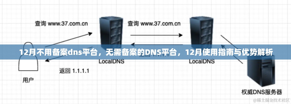 无需备案的DNS平台使用指南与优势解析（12月专享）