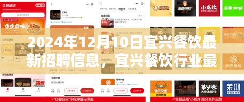 宜兴餐饮行业最新招聘信息深度评测，聚焦2024年12月10日