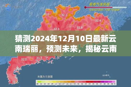 2024年12月11日 第10页