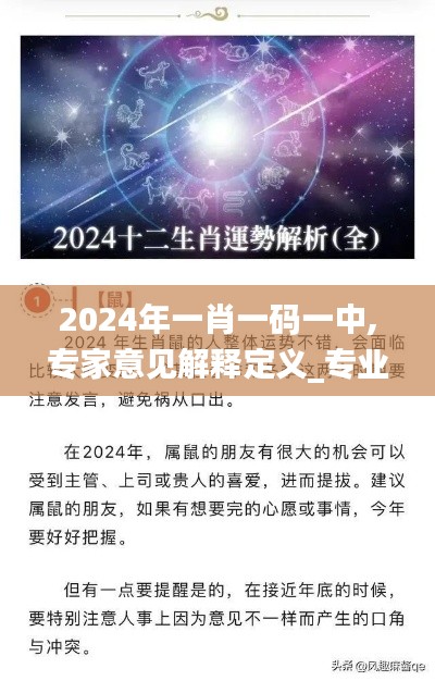 2024年一肖一码一中,专家意见解释定义_专业款16.736