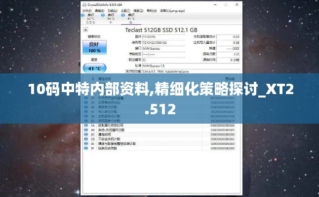 10码中特内部资料,精细化策略探讨_XT2.512