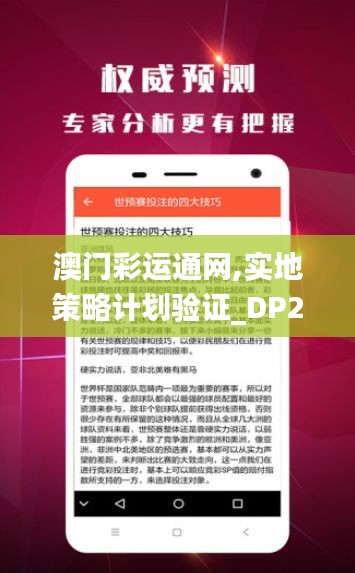 澳门彩运通网,实地策略计划验证_DP2.611