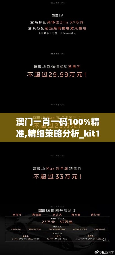 澳门一肖一码100%精准,精细策略分析_kit10.900