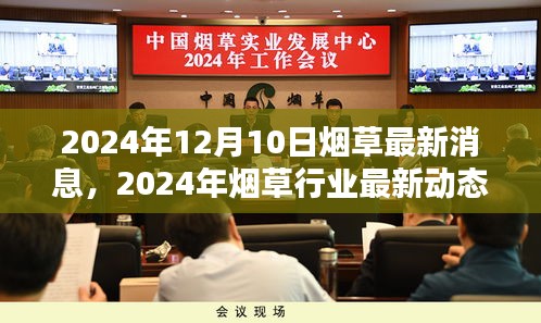 2024年烟草行业最新动态解析，影响与展望