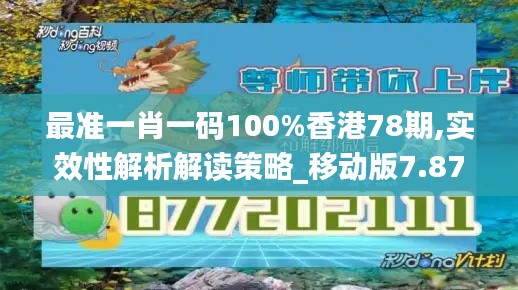 最准一肖一码100%香港78期,实效性解析解读策略_移动版7.872