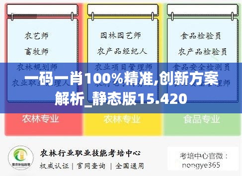 一码一肖100%精准,创新方案解析_静态版15.420