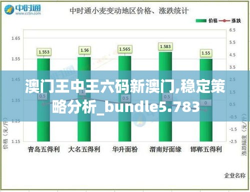 澳门王中王六码新澳门,稳定策略分析_bundle5.783