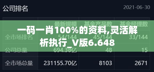 一码一肖100%的资料,灵活解析执行_V版6.648