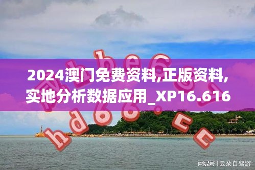 2024澳门免费资料,正版资料,实地分析数据应用_XP16.616