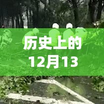 历史上的12月13日与东莞台风动态，回顾与最新消息