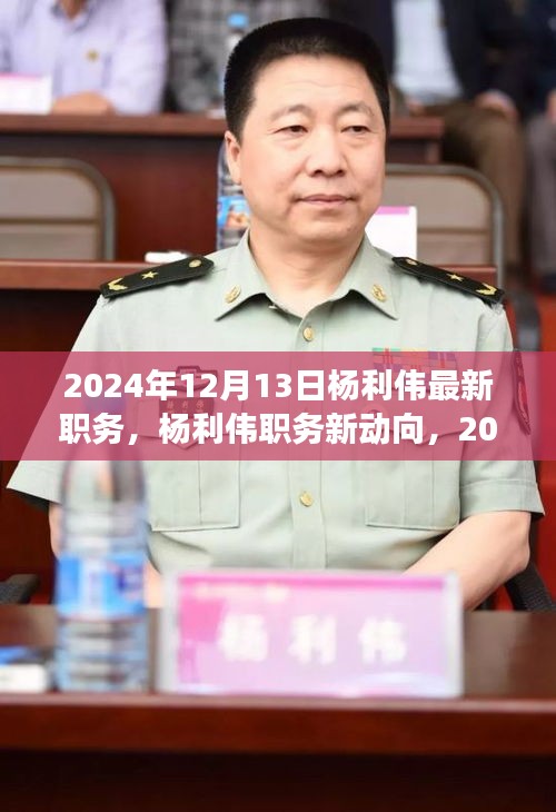 杨利伟职务新动向揭秘，深度解读其职务变迁与未来展望（2024年）