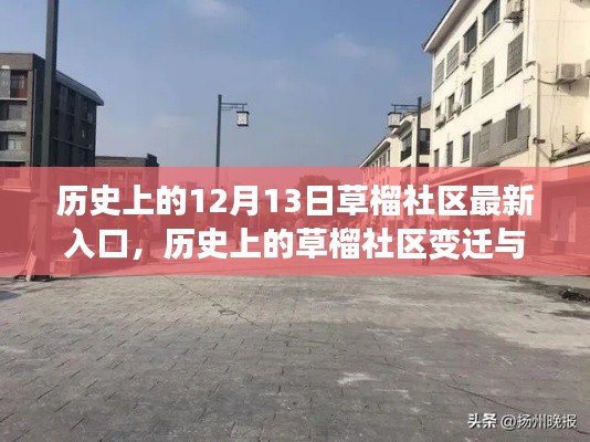 草榴社区变迁，揭秘特殊日期背后的故事与意义分析——以十二月十三日为例