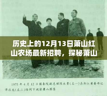 萧山红山农场12月13日最新招聘揭秘，历史背景与探秘之旅