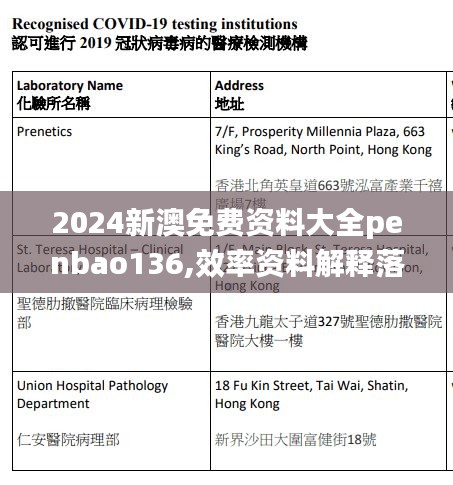 2024新澳免费资料大全penbao136,效率资料解释落实_精英款7.304