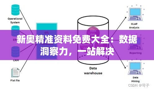 新奥精准资料免费大全：数据洞察力，一站解决