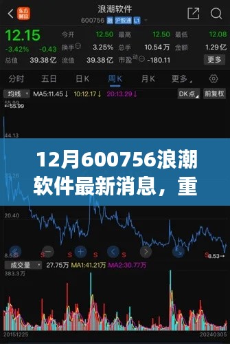 重磅揭秘，浪潮软件最新动态与突破创新，12月消息独家解析（股票代码，600756）