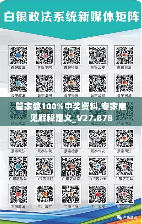 管家婆100%中奖资料,专家意见解释定义_V27.878