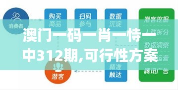 澳门一码一肖一恃一中312期,可行性方案评估_交互版4.291