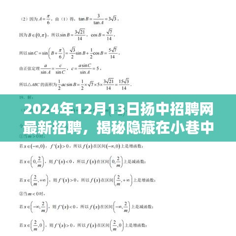 揭秘小巷中的独特小店，扬中招聘网最新招聘信息带你探索未知的美好职场机遇（2024年）