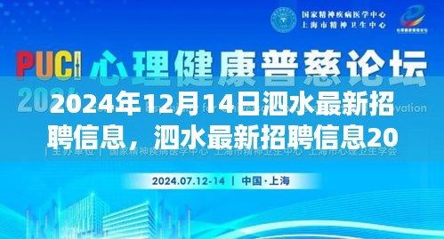 泗水最新招聘信息2024年12月14日，热门职位一网打尽，把握未来机会