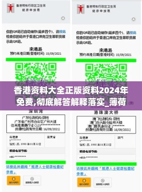 香港资料大全正版资料2024年免费,彻底解答解释落实_薄荷版7.742