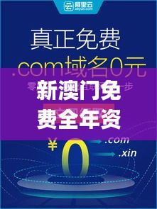 新澳门免费全年资料查询,专业解析说明_BT6.237