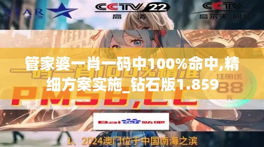 管家婆一肖一码中100%命中,精细方案实施_钻石版1.859