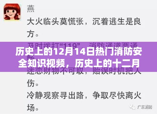 历史上的十二月十四日，热门消防安全知识视频诞生及其深远影响