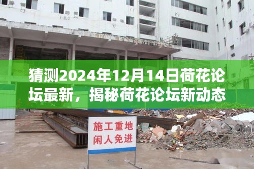 揭秘荷花论坛新动态，预测与探索即将到来的2024年荷花论坛盛况揭秘！