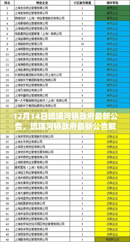 琉璃河镇政府最新公告解读与观点探析，12月14日公告综述