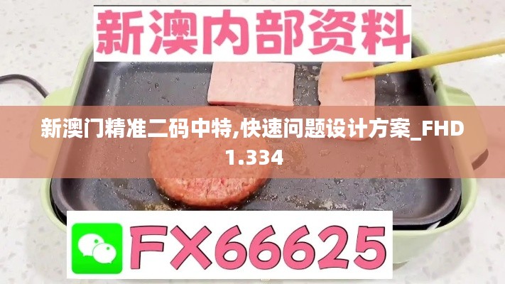 新澳门精准二码中特,快速问题设计方案_FHD1.334