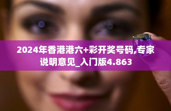 2024年香港港六+彩开奖号码,专家说明意见_入门版4.863