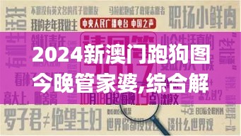 2024新澳门跑狗图今晚管家婆,综合解答解释定义_XP3.544