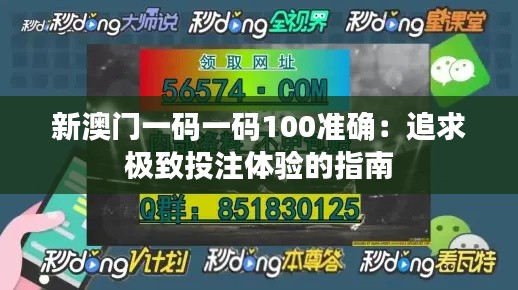 新澳门一码一码100准确：追求极致投注体验的指南