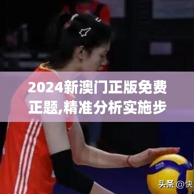 2024新澳门正版免费正题,精准分析实施步骤_影像版7.660