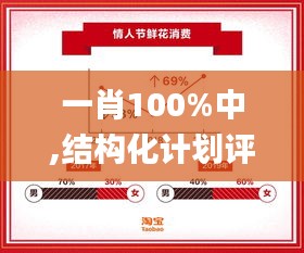 一肖100%中,结构化计划评估_进阶版1.228