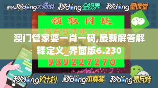 澳门管家婆一肖一码,最新解答解释定义_界面版6.230